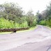Honolulu's Horrible Roads Need Swift Funding, Action